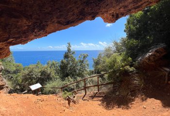 Grotta dell'Acqua immersa nella vegetazione